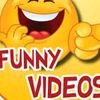 funnyvidoestoday83 avatar