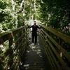 Jordan Boulet-Viau avatar