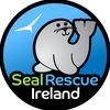 SealRescueIreland avatar