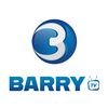 The king barry tv avatar