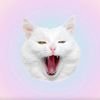 Cat Sofia avatar