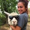 Useless Farm avatar
